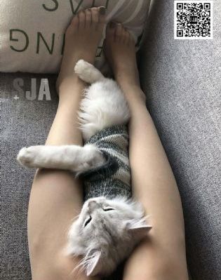 国产有声小说经典录音_高清免费HD高清完整电影