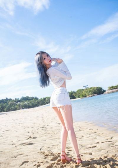 欧美野生动物视频大全_BD韩语免费播放